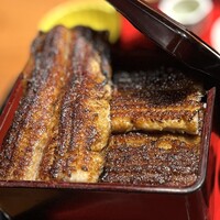 炭焼 うな富士 有楽町店 - 