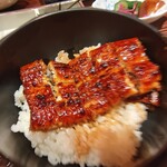 うなぎ料理 澤正 - 