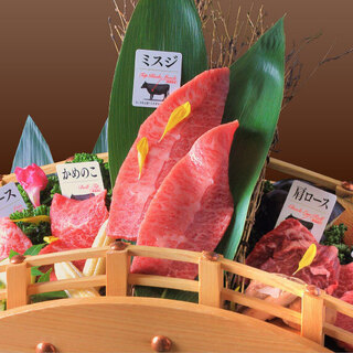 目にも楽しい京都をお楽しみください