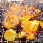 炭火焼肉 新宿 柳苑 - 