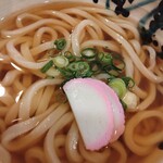 たけうちうどん店 - うどん