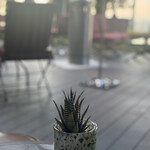 ブルガリ バー - 