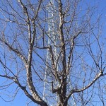 インデアンレストラン  ニューミラ - 寒々しい^_^