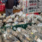 道の駅 しろいし - 蓮根コーナー