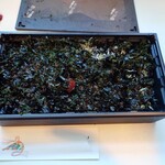 山本山 ふじヱ茶房 - 蓋を開けると、一面にもみのりが敷き詰められていて、圧倒される。