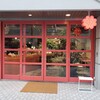 companion plants 福岡店