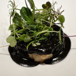 パルコ フィエラ - 