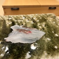 鮨桂太 - 