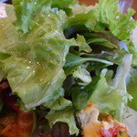 フォセッタ - 湘南野菜のサラダ　