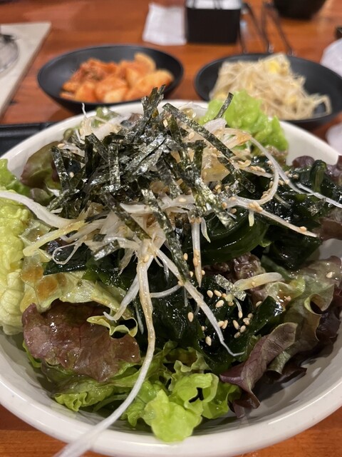 Shichirin Yakiniku Anan Shinkoiwa Ten photo 2