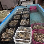 海鮮かき焼かくれ家 - 