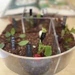 レストランぶどうの森 レ・トネル - 