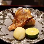 日本料理 晴山 - 
