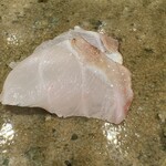 神田錦町 鮨たか晴 - 九絵（舞鶴）