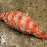 神田錦町 鮨たか晴 - 車海老