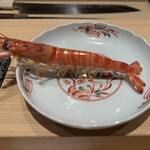 神田錦町 鮨たか晴 - 車海老（茹で上がり）