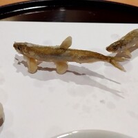 天ぷら 京星 - 