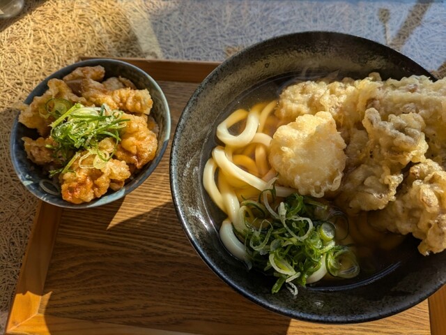 YAMANE 道楽　BIWAKO E Dowluck 道楽 HIDEHIKO YAMANE 山根英彦 Lake Biwa 琵琶湖