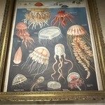 喫茶 ソラクラゲ - 