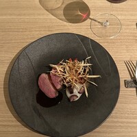 SCALAE - 