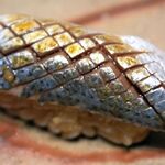 鮨 銀座おのでら - 江戸前コハダ,鮨,銀座おのでら名古屋店