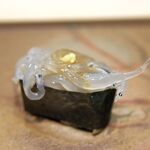 鮨 銀座おのでら - しらうお,鮨,銀座おのでら名古屋店