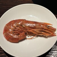 雪梅花 菜根譚 - 