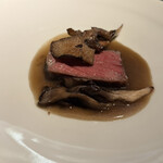 セルサルサーレ - 