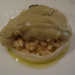 フォリオリーナ・デッラ・ポルタ・フォルトゥーナ - 