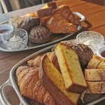 LAGOON TOOTH TOOTH - 