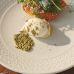 LAGOON TOOTH TOOTH - 