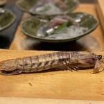 すしやのたい悟 - 北海道特大シャコ、アメリカンドックより大きい！？