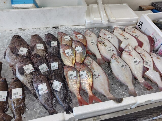 カネヨ水産直売所 - 駒ケ嶺（その他）の写真