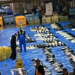 氷見 魚市場食堂 - 