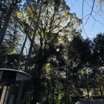 茶寮 五色の杜 - 