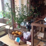 南町テラス - 甘夏