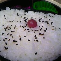 人形町今半 本店 - すき焼き弁当