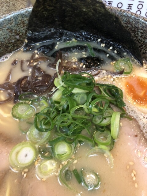 Tonkotsu Menya Hinokuni photo 5