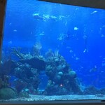 Coral Reef Restaurant - 