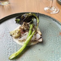KOSA - 