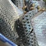 焼きもの家 慶 - 