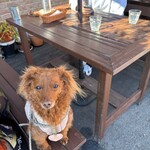 カフェ ボンボン - 