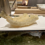 天ぷら うらかみ - 