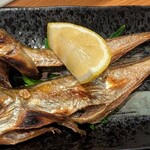 鮮魚bar 創's Style - 