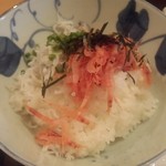 たごころ亭 - 生桜えびと釜揚げシラス丼アップ