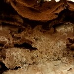 ハーブス ルミネエスト新宿店 - チョコレートカスタードケーキ　税込950円