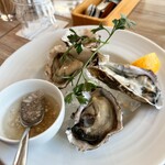 プレートカフェリゾラ - 