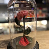 肉寿司 イタリアンバル 閂 心斎橋店 - 花びらに見立てた美しいお肉