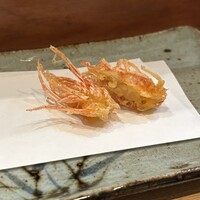 天冨良 よこ田 - 