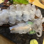 海の幸 - 烏賊